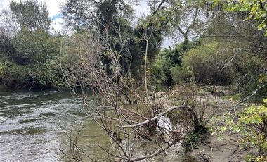 Parcela en Venta en 2,6 hectareas orilla de rio Blanco a solo 30 minutos de rio Negro y 14 minutos de Riachuelo