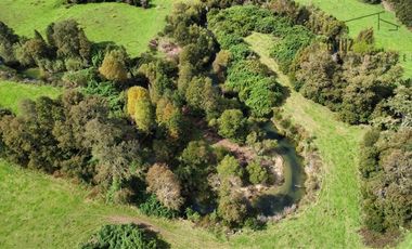 Parcela en Venta en 2,6 hectareas orilla de rio Blanco a solo 30 minutos de rio Negro y 14 minutos de Riachuelo