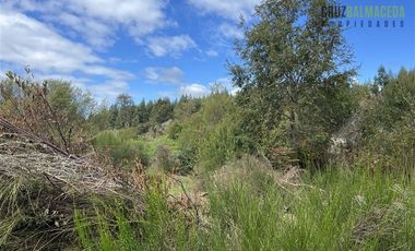 Parcela en Venta en 2,6 hectareas orilla de rio Blanco a solo 30 minutos de rio Negro y 14 minutos de Riachuelo