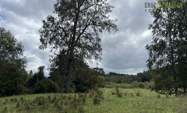 Parcela en Venta en 2,6 hectareas orilla de rio Blanco a solo 30 minutos de rio Negro y 14 minutos de Riachuelo
