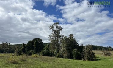 Parcela en Venta en 2,6 hectareas orilla de rio Blanco a solo 30 minutos de rio Negro y 14 minutos de Riachuelo