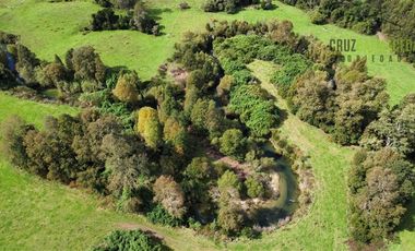 Parcela en Venta en 2,6 hectareas orilla de rio Blanco a solo 30 minutos de rio Negro y 14 minutos de Riachuelo