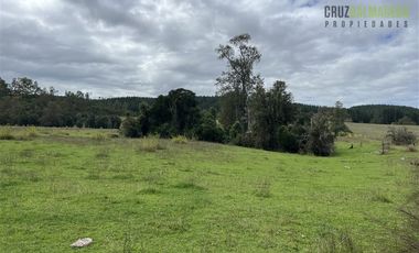 Parcela en Venta en 2,6 hectareas orilla de rio Blanco a solo 30 minutos de rio Negro y 14 minutos de Riachuelo