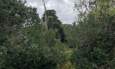 Parcela en Venta en 2,6 hectareas orilla de rio Blanco a solo 30 minutos de rio Negro y 14 minutos de Riachuelo