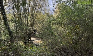 Parcela en Venta en 2,6 hectareas orilla de rio Blanco a solo 30 minutos de rio Negro y 14 minutos de Riachuelo