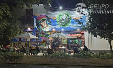 Local Comercial en Venta en Dardignac, Providencia