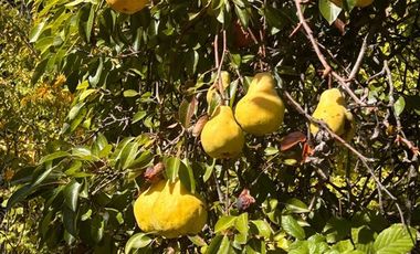 Casa en Venta en lomas de rauquen