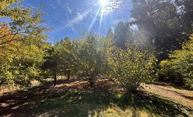 Casa en Venta en lomas de rauquen