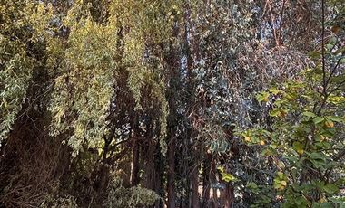 Casa en Venta en lomas de rauquen