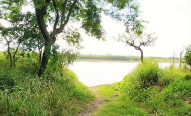 VENTA CAMPO, 400 has, Isla San Javier, Escriturabl