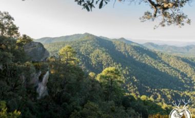 Terreno en Venta en Tapalpa – Fraccionamiento Mazati