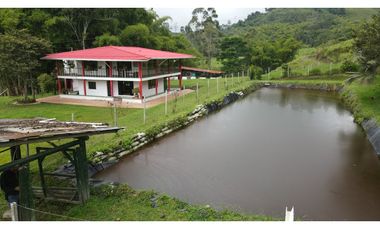 VENTA DE FINCA EN FILANDIA, QUINDO, COLOMBIA
