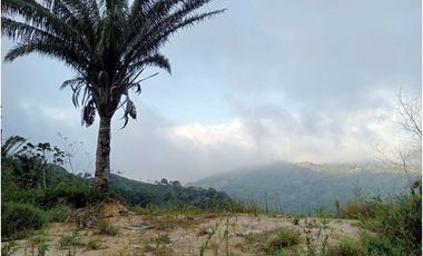 Terreno vereda la lisa