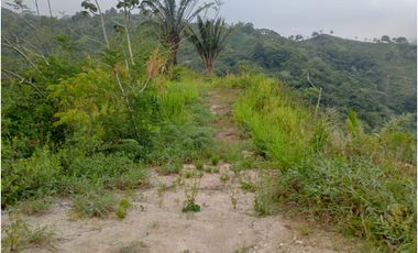 Terreno vereda la lisa