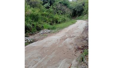 Terreno vereda la lisa