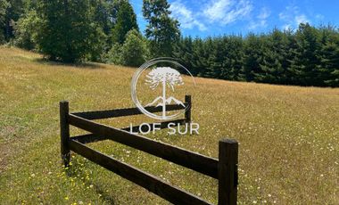 Parcela en venta  en VILLARRICA