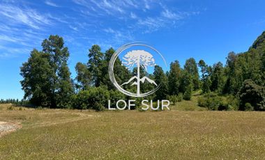 Parcela en venta  en VILLARRICA