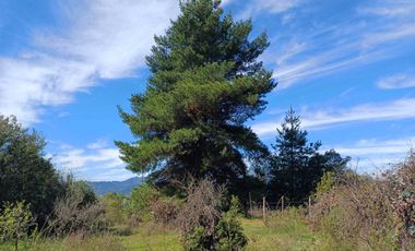 Parcela en venta  en COLBÚN