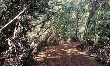 Parcela en venta  en COLBÚN