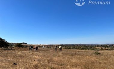 Parcela en Venta en Parcelación Hacienda Don Bastian