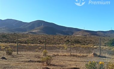 Parcela en Venta en Fundo el Sauce lote A-247