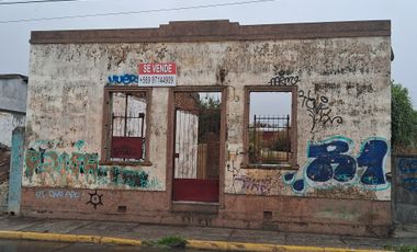 SITIO DE 250 MTS2 BILBAO 95 THNO