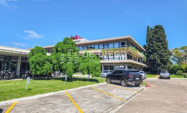 Deposito en alquiler 490 m2, predio con seguridad, Olivos Vicente Lopez