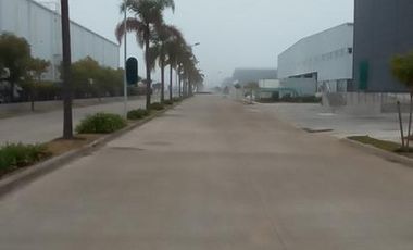Nave Industrial - Tigre - Alquiler