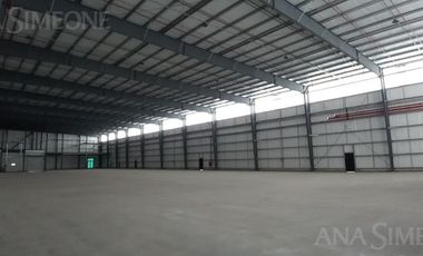 Nave Industrial - Tigre - Alquiler