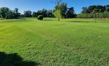 Campo Chico CC