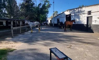 Campo Chico CC