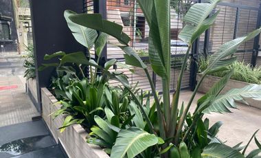 VENTA DEPARTAMENTO MONOAMBIENTE QUILMES CENTRO