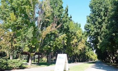 Sitio en Venta en SEPULTURA 4 CAPACIDADES PARQUE DEL RECUERDO