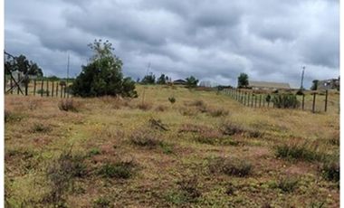 Terreno 5.000 m², Nilahue Alto, acceso pavimentado