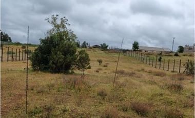 Terreno 5.000 m², Nilahue Alto, acceso pavimentado