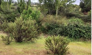 Terreno 5.000 m², Nilahue Alto, acceso pavimentado