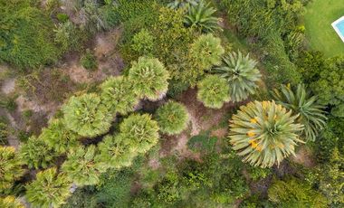 Campo agrícola 7,1 ha con agua - Melipilla