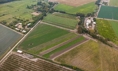 Campo agrícola 7,1 ha con agua - Melipilla