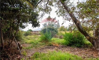 Campo agrícola 7,1 ha con agua - Melipilla