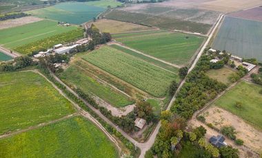 Campo agrícola 7,1 ha con agua - Melipilla