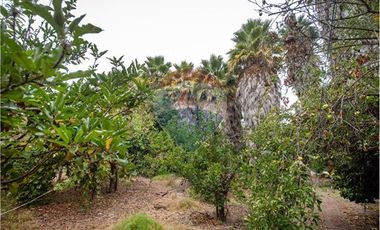 Campo agrícola 7,1 ha con agua - Melipilla