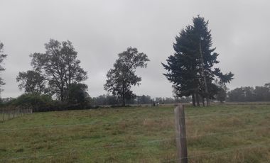 Parcelas en Arco Iris, Paillaco -Oportunidad Única