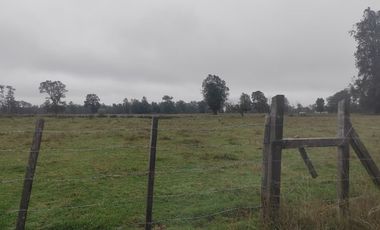 Parcelas en Arco Iris, Paillaco -Oportunidad Única