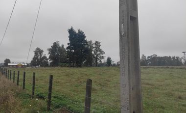 Parcelas en Arco Iris, Paillaco -Oportunidad Única