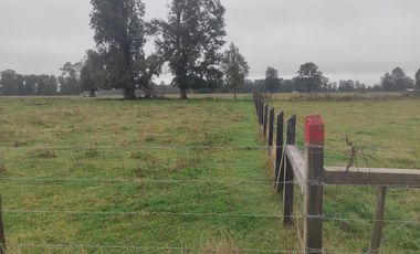 Parcelas en Arco Iris, Paillaco -Oportunidad Única