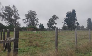 Parcelas en Arco Iris, Paillaco -Oportunidad Única