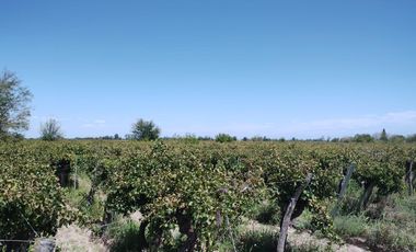 Finca en venta en San Martin