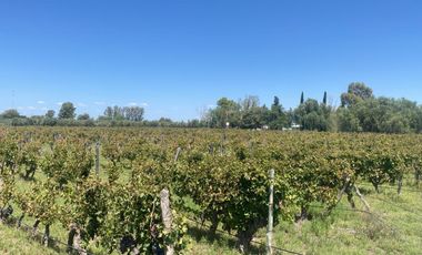 Finca en Monte Caseros