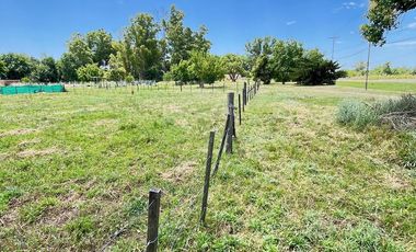 Terreno en Arroyo De La Cruz