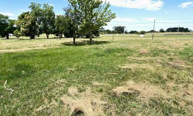 Terreno en Arroyo De La Cruz